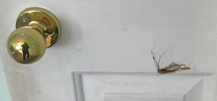 interior door hole repair Canyon Lake
